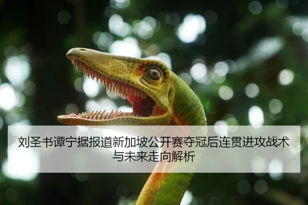 刘圣书谭宁据报道新加坡公开赛夺冠后连贯进攻战术与未来走向解析